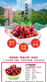 PSD樱桃果园设计素材 打造生鲜蔬菜视觉新亮点